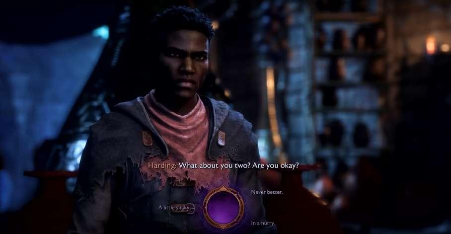 Dragon Age: The Veilguard - 2024